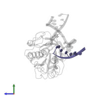 5'-D(P*GP*TP*CP*TP*AP*CP*C)-3' in PDB entry 1l2b, assembly 1, side view.
