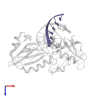 5'-D(P*GP*TP*CP*TP*AP*CP*C)-3' in PDB entry 1l2b, assembly 1, top view.