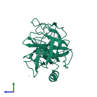 Kallikrein-6 in PDB entry 1l2e, assembly 1, side view.