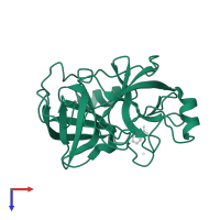 Kallikrein-6 in PDB entry 1l2e, assembly 1, top view.