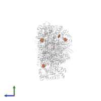 CAFFEINE in PDB entry 1l7x, assembly 1, side view.