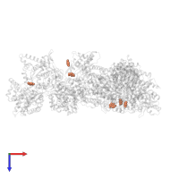 CAFFEINE in PDB entry 1l7x, assembly 1, top view.