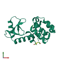 3D model of 1l81 from PDBe