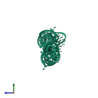 P4-P6 RNA ribozyme domain in PDB entry 1l8v, assembly 1, side view.