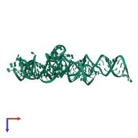 P4-P6 RNA ribozyme domain in PDB entry 1l8v, assembly 1, top view.