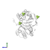 SULFATE ION in PDB entry 1l9y, assembly 2, side view.