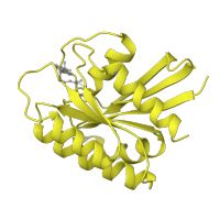 The deposited structure of PDB entry 1lfd contains 2 copies of SCOP domain 52592 (G proteins) in GTPase HRas, N-terminally processed. Showing 1 copy in chain B.