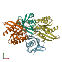 PDB entry 1lfd coloured by chain, front view.