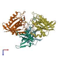 PDB entry 1lfd coloured by chain, top view.