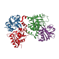 The deposited structure of PDB entry 1lfg contains 4 copies of CATH domain 3.40.190.10 (D-Maltodextrin-Binding Protein; domain 2) in Lactotransferrin. Showing 4 copies in chain A.