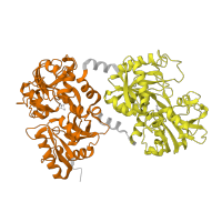 The deposited structure of PDB entry 1lfg contains 2 copies of Pfam domain PF00405 (Transferrin) in Lactotransferrin. Showing 2 copies in chain A.