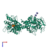 PDB entry 1lfg coloured by chain, top view.