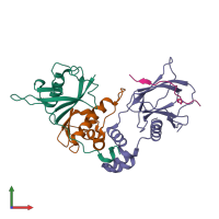 PDB entry 1lm8 coloured by chain, front view.