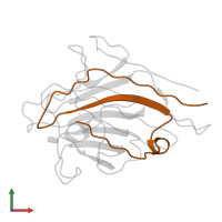 Mannose/glucose-specific lectin alpha 1 chain in PDB entry 1lob, assembly 3, front view.