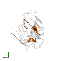 Mannose/glucose-specific lectin alpha 1 chain in PDB entry 1lob, assembly 3, side view.