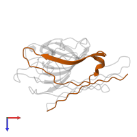 Mannose/glucose-specific lectin alpha 1 chain in PDB entry 1lob, assembly 3, top view.