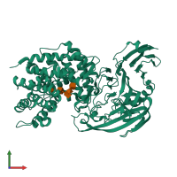 PDB entry 1loh coloured by chain, front view.