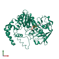 PDB entry 1loo coloured by chain, front view.