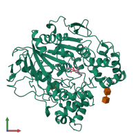 PDB entry 1lps coloured by chain, front view.