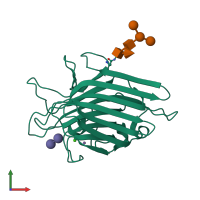 PDB entry 1lte coloured by chain, front view.