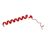 The deposited structure of PDB entry 1lti contains 1 copy of CATH domain 1.20.5.240 (Single alpha-helices involved in coiled-coils or other helix-helix interfaces) in Heat-labile enterotoxin A chain. Showing 1 copy in chain G [auth C].