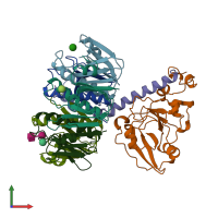 PDB entry 1lti coloured by chain, front view.