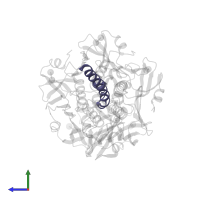 Heat-labile enterotoxin A chain in PDB entry 1ltt, assembly 1, side view.