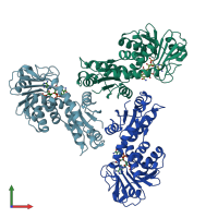 PDB entry 1lua coloured by chain, front view.