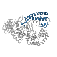 The deposited structure of PDB entry 1lv5 contains 2 copies of CATH domain 1.20.1060.10 (Taq DNA Polymerase; Chain T, domain 4) in DNA polymerase I. Showing 1 copy in chain E [auth A].