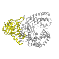 The deposited structure of PDB entry 1lv5 contains 2 copies of SCOP domain 53118 (DnaQ-like 3'-5' exonuclease) in DNA polymerase I. Showing 1 copy in chain E [auth A].