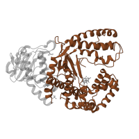 The deposited structure of PDB entry 1lv5 contains 2 copies of SCOP domain 56673 (DNA polymerase I) in DNA polymerase I. Showing 1 copy in chain E [auth A].