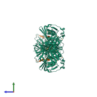 Hetero octameric assembly 4 of PDB entry 1lvb coloured by chemically distinct molecules, side view.