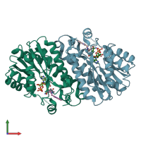 PDB entry 1lx6 coloured by chain, front view.