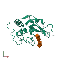 PDB entry 1lze coloured by chain, front view.