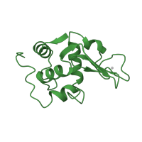 The deposited structure of PDB entry 1lzs contains 2 copies of SCOP domain 53960 (C-type lysozyme) in Lysozyme C. Showing 1 copy in chain A.