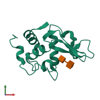 PDB entry 1lzy coloured by chain, front view.