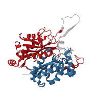 The deposited structure of PDB entry 1m3z contains 8 copies of CATH domain 3.40.47.10 (Peroxisomal Thiolase; Chain A, domain 1) in Acetyl-CoA acetyltransferase. Showing 2 copies in chain A.