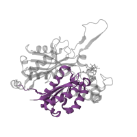 The deposited structure of PDB entry 1m3z contains 4 copies of Pfam domain PF02803 (Thiolase, C-terminal domain) in Acetyl-CoA acetyltransferase. Showing 1 copy in chain A.