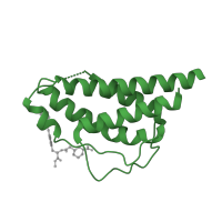 The deposited structure of PDB entry 1m48 contains 2 copies of SCOP domain 47286 (Short-chain cytokines) in Interleukin-2. Showing 1 copy in chain B.