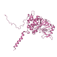 The deposited structure of PDB entry 1m63 contains 2 copies of CATH domain 3.60.21.10 (Purple Acid Phosphatase; chain A, domain 2) in Protein phosphatase 3 catalytic subunit alpha. Showing 1 copy in chain A.