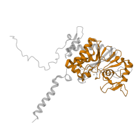 The deposited structure of PDB entry 1m63 contains 2 copies of Pfam domain PF00149 (Calcineurin-like phosphoesterase) in Protein phosphatase 3 catalytic subunit alpha. Showing 1 copy in chain A.