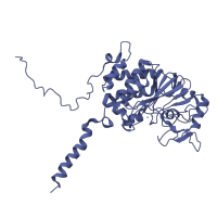 The deposited structure of PDB entry 1m63 contains 2 copies of SCOP domain 56310 (Protein serine/threonine phosphatase) in Protein phosphatase 3 catalytic subunit alpha. Showing 1 copy in chain A.