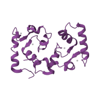 The deposited structure of PDB entry 1m63 contains 2 copies of SCOP domain 47502 (Calmodulin-like) in Calcineurin subunit B type 1. Showing 1 copy in chain F.