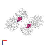 CYCLOSPORIN A in PDB entry 1m63, assembly 1, top view.