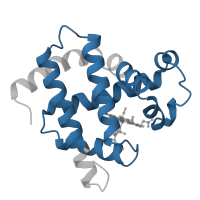 The deposited structure of PDB entry 1m6c contains 2 copies of Pfam domain PF00042 (Globin) in Myoglobin. Showing 1 copy in chain A.