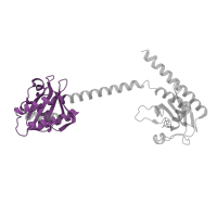 The deposited structure of PDB entry 1mc0 contains 1 copy of Pfam domain PF13185 (GAF domain) in cGMP-dependent 3',5'-cyclic phosphodiesterase. Showing 1 copy in chain A.