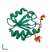 PDB entry 1mdj coloured by chain, ensemble of 30 models, front view.