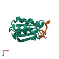 PDB entry 1mdj coloured by chain, ensemble of 30 models, top view.