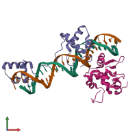 PDB entry 1mdm coloured by chain, front view.
