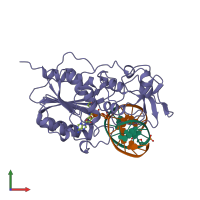 PDB entry 1mht coloured by chain, front view.